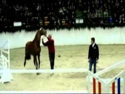 Dinken v. Diarado-Cassini I, Februar 2013