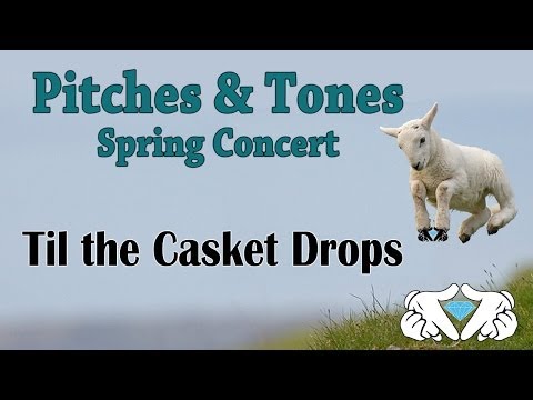 Til The Casket Drops // ZZ Ward // Pitches And Tones (A Capp