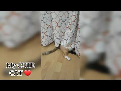 Callie what are you doing?? 😐