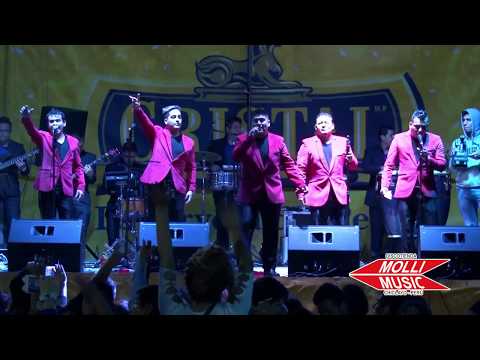 LOS TIGRES DEL SABOR - YA NO LA BUSQUES