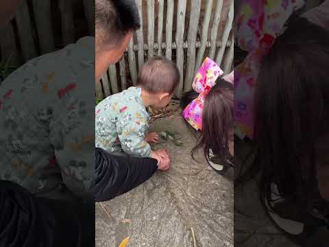 Zoo Animals and Gas Prices