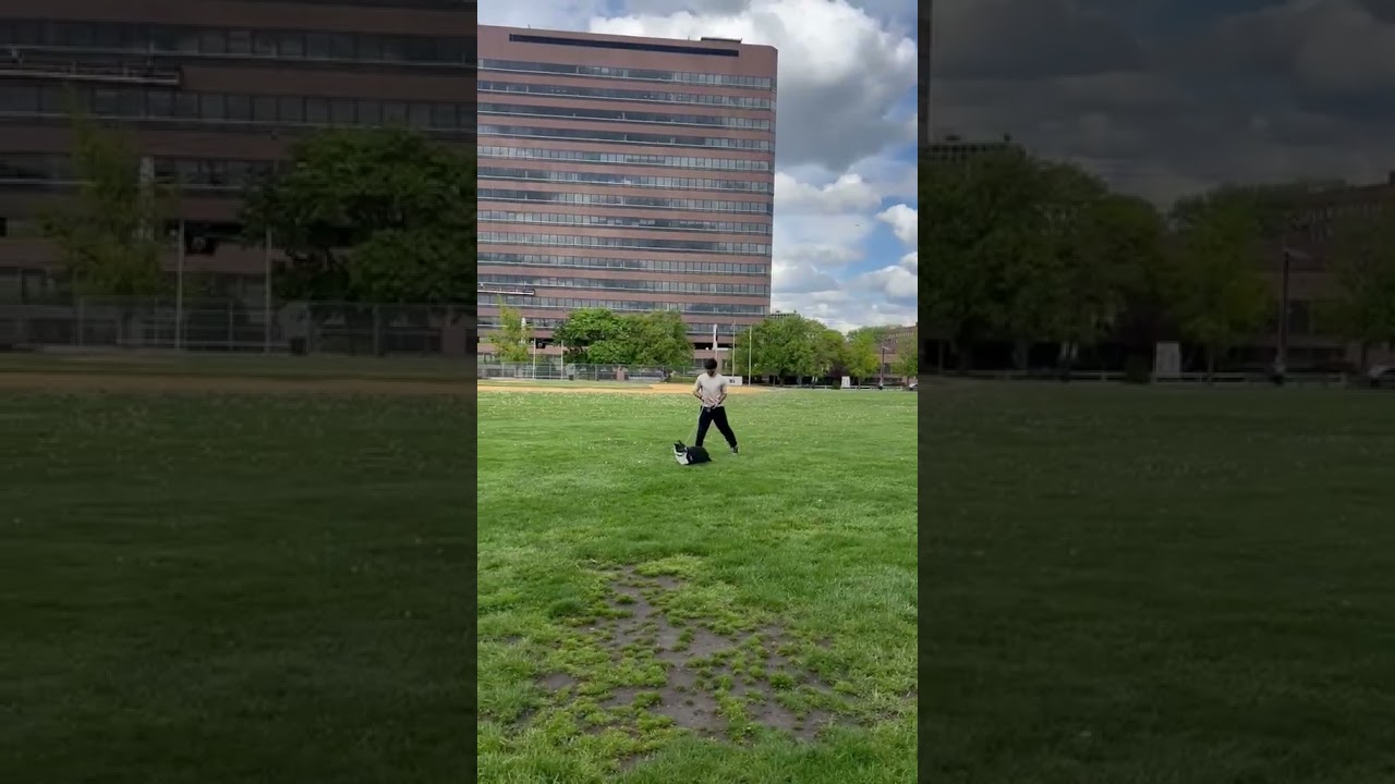 Enlarge Thor, a Adoptable Mixed Breed in New York, NY video 6/6