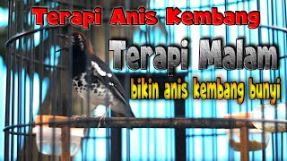 Download lagu TERAPI ANIS KEMBANG - GUNAKAN DI SUASANA TENANG mp3