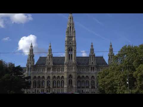 Rathaus der Stadt Viena