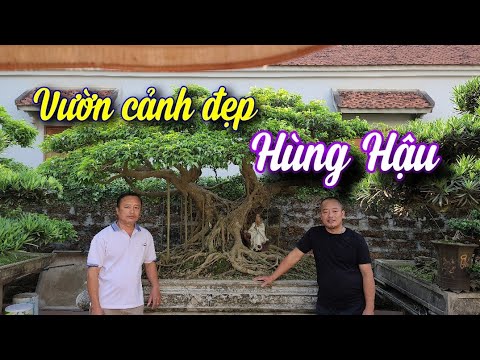 SH.6045. Thăm vườn cảnh đẹp Hùng Hậu thôn Tân phong 3 xã Phong vân Ba Vì Hà Nội. Đth 0975.609.353.
