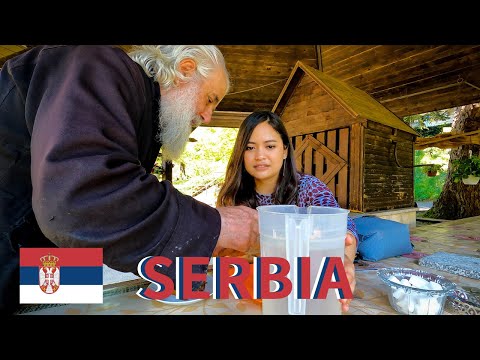, title : 'Fed by a Priest in Rural Serbia (solo female traveller) [Ep. 7] 🇷🇸'
