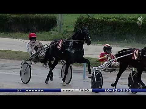 Aversa trotto 10 Dicembre 2022 - 2° Corsa