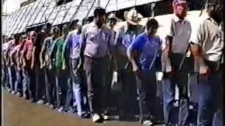 Barn Hand Overview | What is a barn hand? - Zippia