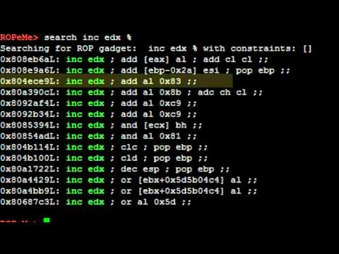 [NDH2010] level 10 : ROP