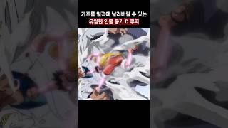🔥최강가프를 날려버릴 수 있는 유일한 자 손자 루피🔥