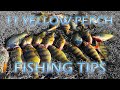 11 TIPS for Yellow Perch Fishing Fishing the Spring Spawning Run in Maryland; Kayak Perch Fishing