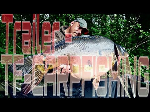 Trailer - TF-Carpfishing