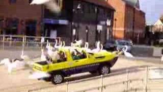 preview picture of video 'amphibious car scatters some swans'