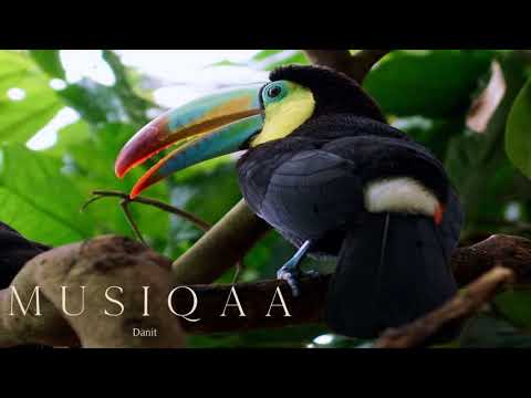 Danit ⋄ Aliento ⋄ A journey into the heart of prayer and gratitude for Mother Nature