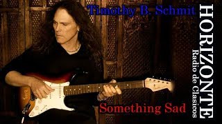 timothy b schmit - Something Sad - 1990