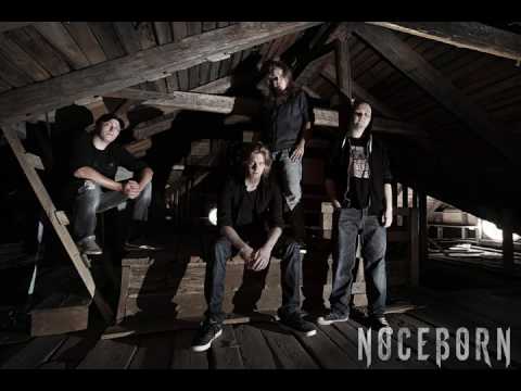 Noceborn - Past Reflection