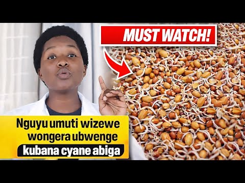 Umuti Wongera Ubwenge ku Bana cyane abiga |  Brain Booster for Smart  Kids