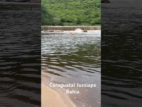Caraguataí Jussiape Bahia ￼