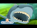 Octonauts Great White Shark The Coconut Crabs Compilation Cartoons For Kids