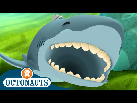 Octonauts - Great White Shark & The Coconut Crabs | Compilation | Cartoons for Kids