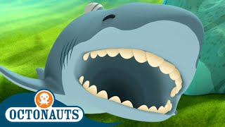 Octonauts - Great White Shark & The Coconut Crabs | Compilation | Cartoons for Kids