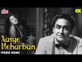 Download आइये मेहरबाँ Aaiye Meherbaan 4k Video Song Asha Bhosle Madhubala Ashok Kumar Howrah Bridge Mp3 Song