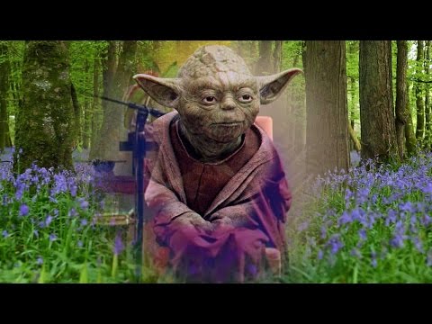 Pema Chodron (Yoda) - Smile At Fear