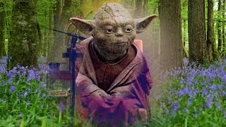 Pema Chodron (Yoda) - Smile At Fear