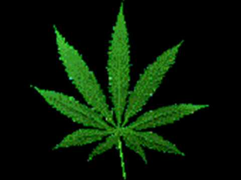 Pass da Dank - Murder Squad