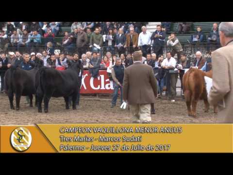27-07-17 Jura Angus Vaquillona Menor - Palermo.