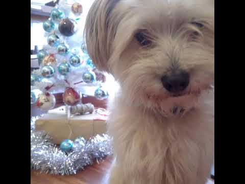 Everybody knows Fito??