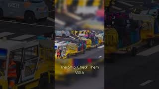 Cruise Passengers Get This Luxury Move #shorts #cruise #luxury