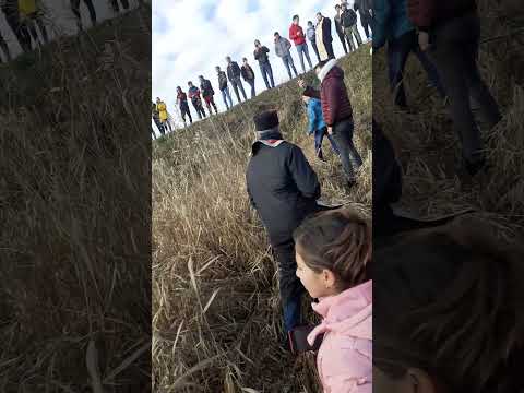 Tradiția aruncarea Sfintei Cruci în apele Dâmboviței (Serdanu ) 2021.