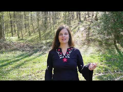 #03 Recitacija Maje Jasić Dašić: Antun Branko Šimić - Nađeni Bog