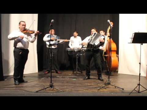 hora ca la ditesti 1 -- Lautari din Rosiori