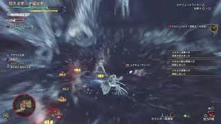 ゴア4orレウス4で非火事場6分台を目指す 歴戦王アルシュベルド モンハンワイルズ