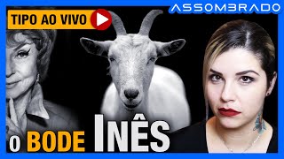 ESTE RELATO É DIGNO DE FILME DE TERROR! UM BODE MISTERIOSO E UMA MULHER ESTRANHA RONDANDO A FAZENDA.