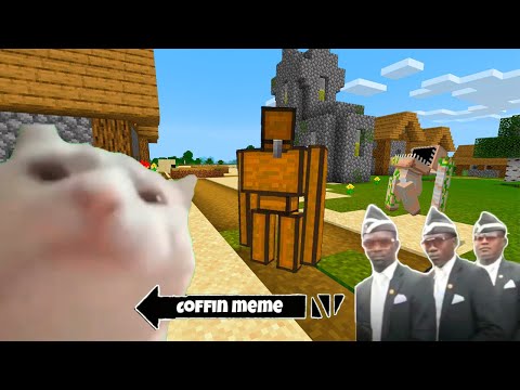 Coffin Meme but Cat is Vibing Part 5 - Minecraft