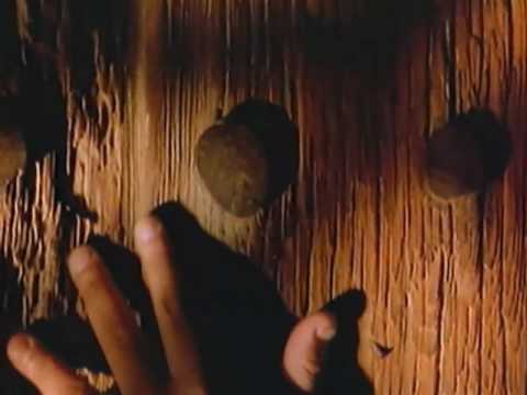 Francisco Céspedes - Vida loca (Video)