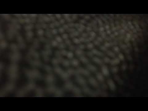 Tesla's X-ray 08222019