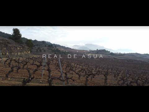 REAL DE ASUA Carromaza 2019 Tempranillo DO RIOJA video