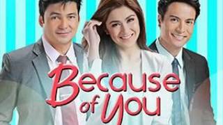 christian bautista you and me (because of you theme song )