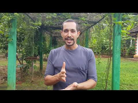 OFIR (ISRAEL) talk about Deepanjali Ayurveda Yoga Retreat in Kerala India