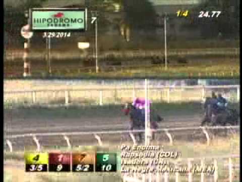 7MA CARRERA SABADO 29 DE MARZO DEL 2014 HPR