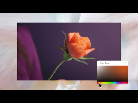 Video preview