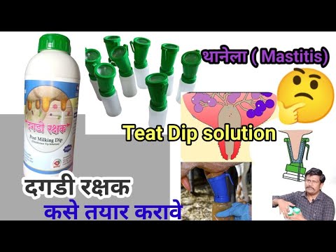 Mastitis teat dip solution | थानेला रोग पर सॉल्युशन| dip cup for cow