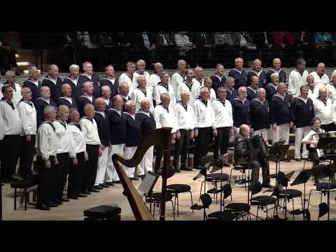 Frei wie der Wind, Seemannslied, Seemanns-Chor Hamburg