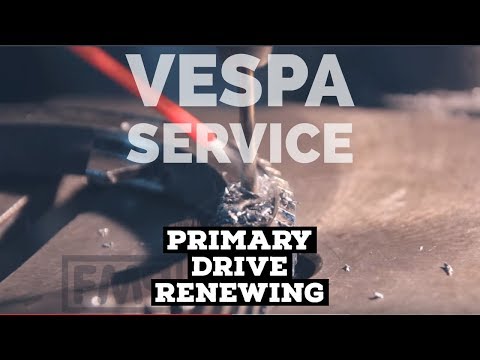 vespa PRIMARY RENEWING service | FMP-Solid PASSion |