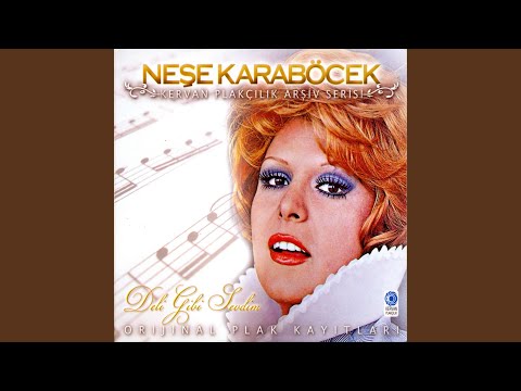 Video Yükleniyor...
