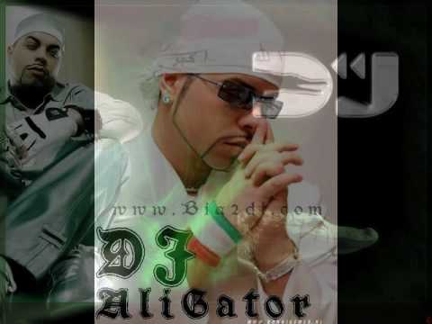 Dj Alligator Project  - You left me longing for you